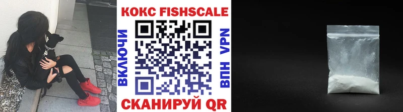 купить  цена  Кизляр  OMG   Cocaine Fish Scale 