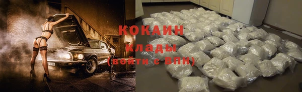 гидра Пересвет