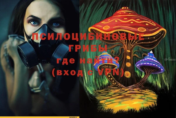 бутират Переславль-Залесский