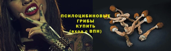 бутират Переславль-Залесский