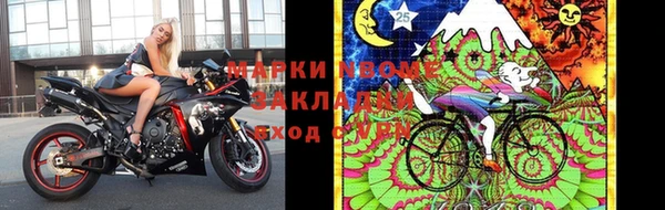 гидра Пересвет