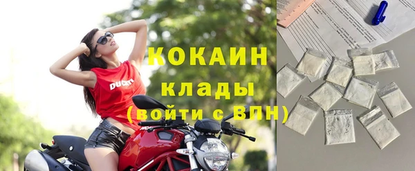 гидра Пересвет