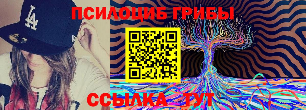 Галлюциногенные грибы Psilocybine cubensis  Кизляр  закладка  Галлюциногенные грибы MAGIC MUSHROOMS 