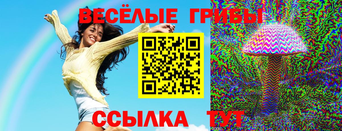 Псилоцибиновые грибы Magic Shrooms  Вход с VPN  Псилоцибиновые грибы мухоморы  Кизляр 